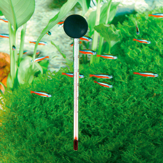 ferplast_aquariumthermometer_blu_6811_15_cm_glas_wit_2_490075_1604499343.jpg