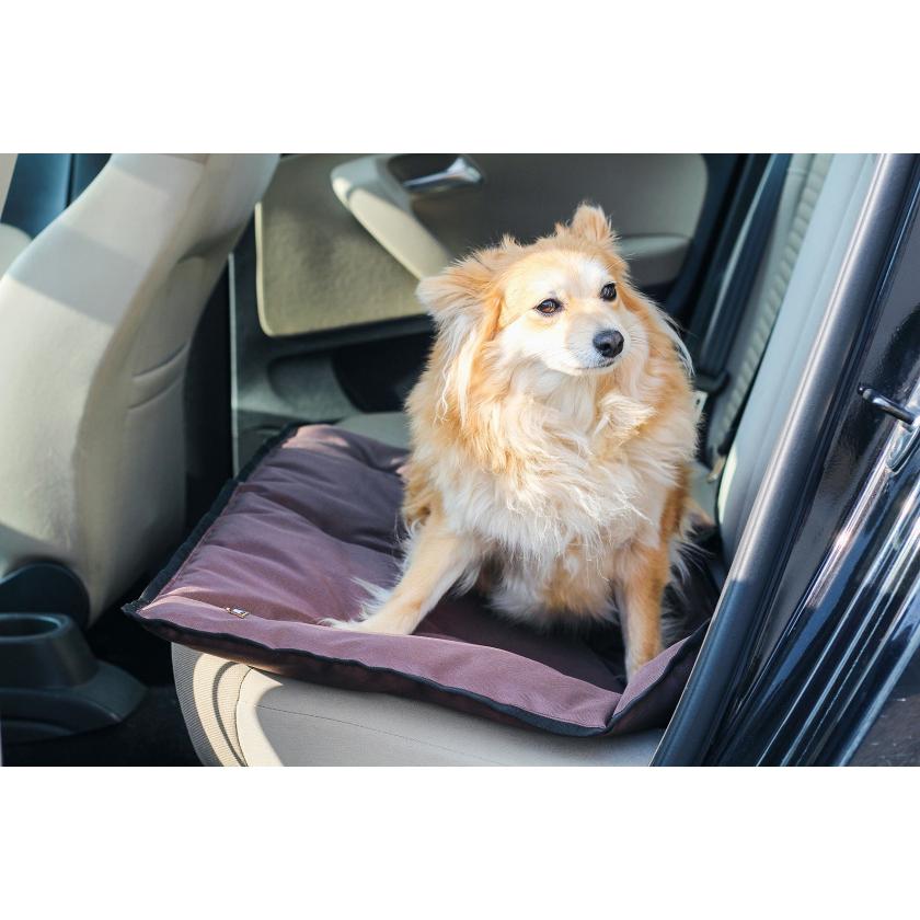 20837-6601d0.jpeg 20837-6601d0.jpeg